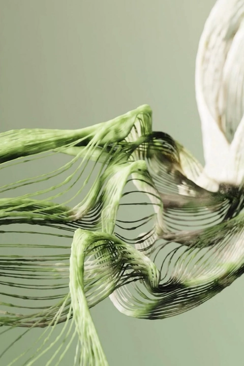 Nanocellulose