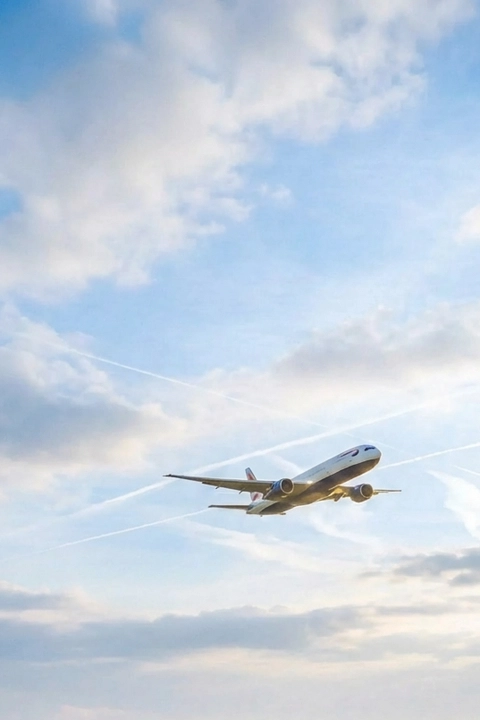 Sustainable Aviation Fuel