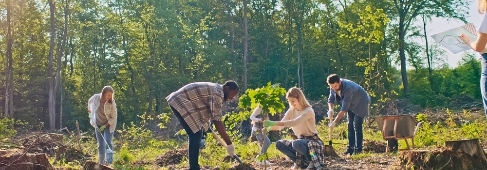 image1600.alt